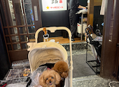 和牛焼肉 大阪会館: じょせさんの2026年07月26日の2枚目の投稿写真