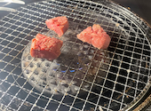 焼肉鶴橋 本店: ちーやさんの2026年08月17日の1枚目の投稿写真