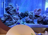 アクアリウムレストラン Nautilus ノーチラス 上野: スミャッさんの2025年04月07日の1枚目の投稿写真