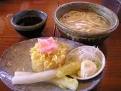 小縣屋: うずらさんの2008年03月09日の1枚目の投稿写真