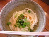 小縣屋: うずらさんの2008年03月09日の3枚目の投稿写真