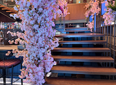 ザ ライブリーキッチン THE LIVELY KITCHEN 福岡博多: EmIさんの2026年05月02日の2枚目の投稿写真