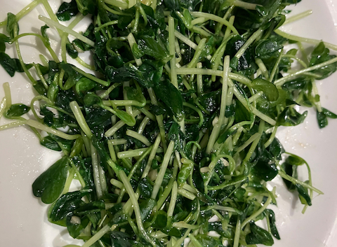 青蓮 豊洲IHI店: チエコママさんの2025年07月26日の2枚目の投稿写真