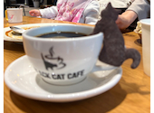 ブラックキャットカフェ: まさのりさんの2026年04月11日の3枚目の投稿写真