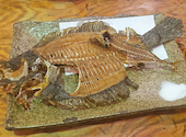 釣船茶屋 ざうお 横浜綱島店: miyaさんの2026年05月25日の3枚目の投稿写真