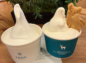 TNOC THE CAFE SAPPORO T4 ティーノックザカフェサッポロティーフォー: ミケさんの2026年09月12日の1枚目の投稿写真
