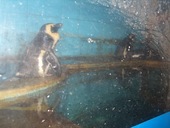 Bar Little Feat: 彩コロさんの2007年09月28日の1枚目の投稿写真