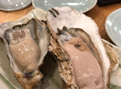地酒と旬の日本料理 ひよこ: まろさんの2026年04月20日の1枚目の投稿写真