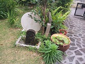 暮夢: ちびちゃんさんの2013年04月02日の2枚目の投稿写真