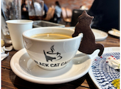 ブラックキャットカフェ: ちょこまりおさんの2025年10月20日の2枚目の投稿写真