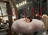 THE BARK(ザ バーク): 瞬之介さんの2025年04月の1枚目の投稿写真