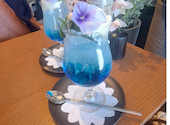 フラワーカフェ BLOOMY S: ピットさんの2026年05月06日の1枚目の投稿写真