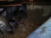 天市: べろりんさんの2007年02月24日の2枚目の投稿写真