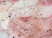 焼肉 いけぐち: ベンさんさんの2024年08月07日の1枚目の投稿写真
