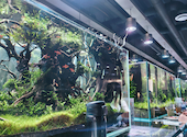 AQUA GARDEN KYOTO アクアガーデン 京都: キー子さんさんの2026年05月08日の2枚目の投稿写真