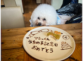ピザ屋のチーズカフェ入間: みかさんの2026年08月14日の1枚目の投稿写真