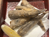 居酒屋 鯛之鯛 難波 なんば店: シンクさんの2026年09月05日の3枚目の投稿写真