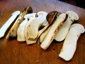 弓ケ浜: toshiMさんの2011年08月21日の2枚目の投稿写真