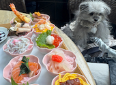 魚秀 UOHIDE 渋谷桜丘店: りぼんさんの2026年04月27日の2枚目の投稿写真