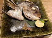 とみ菜 うえ野: チベッタさんの2026年08月08日の1枚目の投稿写真