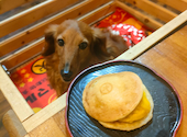 古民家彼方　レストラン＆カフェ・ドッグラン　: はるさんの2026年05月09日の2枚目の投稿写真