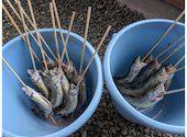岡田養魚場: みなっつさんの2026年08月12日の1枚目の投稿写真