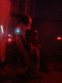 Bar Little Feat: ゆきにゃんさんの2007年08月02日の1枚目の投稿写真