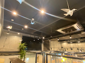 Dining cafe&bar GAGA: みぽぽさんの2026年04月22日の2枚目の投稿写真