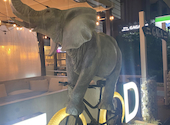 Dining cafe&bar GAGA: みぽぽさんの2026年04月22日の3枚目の投稿写真