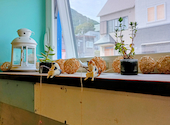 cafe wave snow カフェ ウェイブスノウ: motherさんの2026年08月30日の1枚目の投稿写真