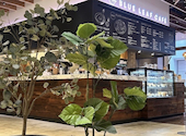 BLUE LEAF CAFE 仙台: いちごさんの2026年09月01日の1枚目の投稿写真