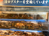 レッドロブスター 新本牧店: 鼻ちゃんさんの2026年07月07日の2枚目の投稿写真