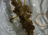 焼き鳥お持ち帰り専門店すがもと: みゆさんの2026年09月30日の1枚目の投稿写真