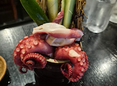 魚匠 神戸 隆明 北野坂本店: りえさんの2026年06月19日の2枚目の投稿写真