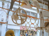 ことりカフェ 上野本店: はななさんの2026年09月25日の1枚目の投稿写真