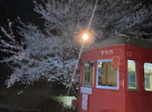 鮨と酒 悠久 名駅柳橋店: あだちりょうさんの2026年04月20日の1枚目の投稿写真