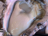 OYSTER LOVERS オイスターラバーズ: ふみちゃんさんの2023年06月17日の2枚目の投稿写真