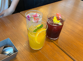 ロイヤルガーデンカフェ&タバーン 豊洲: めぐみさんの2026年06月15日の2枚目の投稿写真