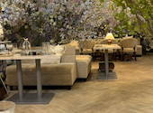 オートクチュールカフェ HAUTE COUTURE CAFE: あやのっちさんの2026年04月17日の3枚目の投稿写真