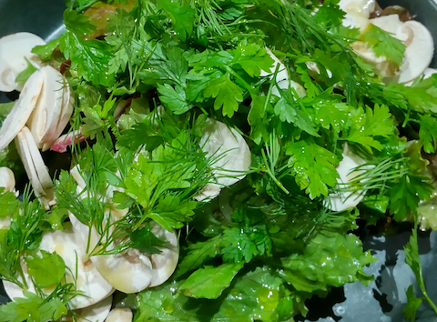 Oyster Bar & Restaurant Ostrea オストレア 赤坂見附店: マカロニさんの2025年11月10日の1枚目の投稿写真