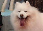 犬猫カフェ put on lap プットオンラップ 今池: 苓さんの2026年08月30日の3枚目の投稿写真