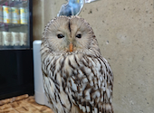 フクロウの巣カフェ: コウさんの2026年01月15日の1枚目の投稿写真