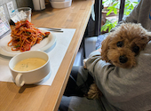 flower&cafe あっとほーむ: kiriちゃんさんの2026年05月03日の1枚目の投稿写真