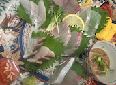 心に活きる金魚 つぼみ: ソラニンさんの2026年03月21日の1枚目の投稿写真