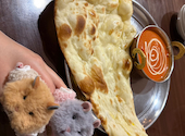 デリーダーバル DELHI DARBAR: ちゃんあきさんの2026年05月26日の1枚目の投稿写真