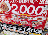 298心斎橋店: Small Forestさんの2026年05月08日の2枚目の投稿写真