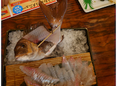 釣船茶屋 ざうお 亀戸駅前店: 海老蔵さんの2026年07月30日の1枚目の投稿写真