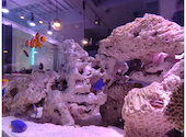 アクアリウムダイニング　サカナノセカイ　小倉店: ティアラさんの2023年04月15日の2枚目の投稿写真