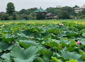 ランチ　フォー　Tay Ho Quan（テイホークァン）上野公園　: ママコさんの2026年09月01日の3枚目の投稿写真