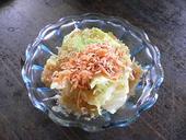 珊瑚礁: ルーさんの2007年08月21日の3枚目の投稿写真